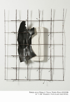 © David Borenstein